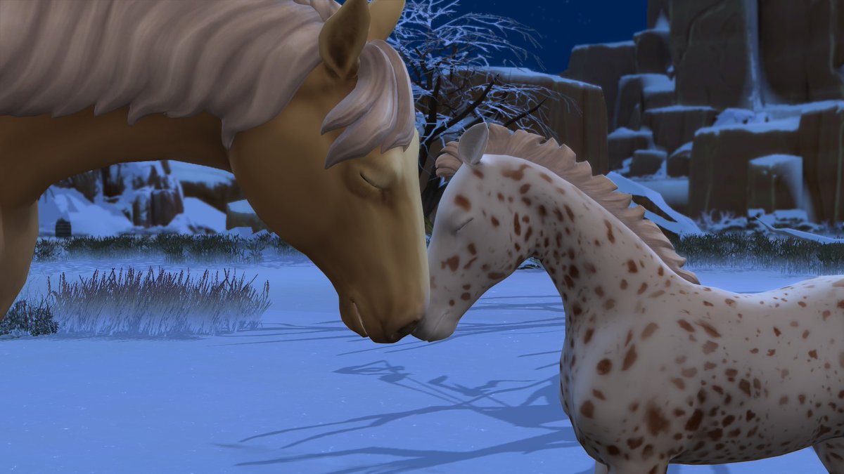 Olympia meets her foal, Snow, for the first time ❄️

#TheSims4 #HorseRanch
