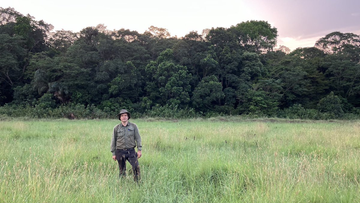 JaanParn's tweet photo. @peatlandn2o Congo fieldworks in great hardwood #peat swamp forest and #peatland #savannah , through great hardships, are over! Thanks for great collaboration, @umngcg and @wcs_congo!
@MikkEspenberg @KaidoSoosaar 
#PeatTwitter https://t.co/8CVFfdH34g