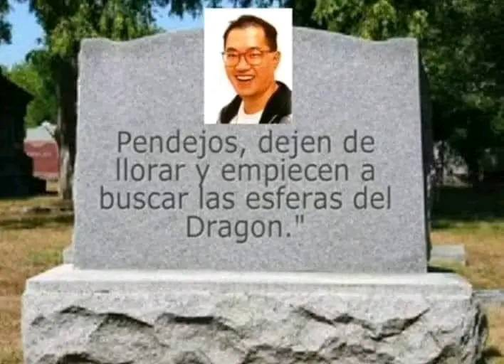 MioArt_Org's tweet photo. #EsferasDelDragon #8m https://t.co/MMrzNG5u8F