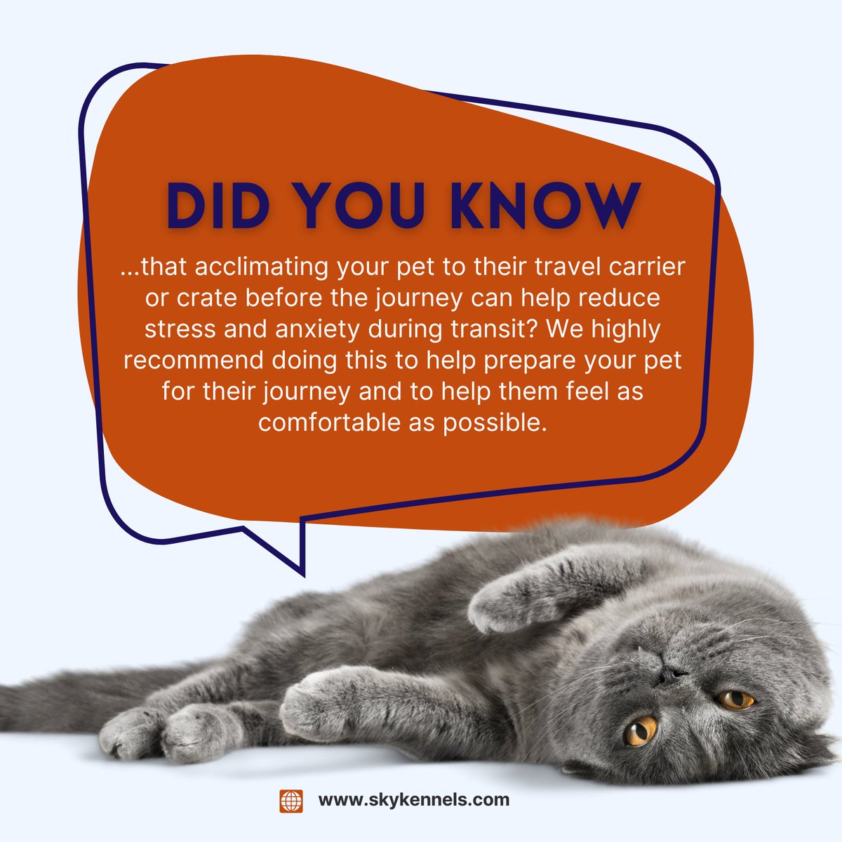 A did you know to help prepare your pet for their travels!  Many of us don't like being in new spaces - and the same applies to our pets! If they can get to know their crate or travel kennel, they're going to feel more comfortable throughout the journey. #pettravel #pettips