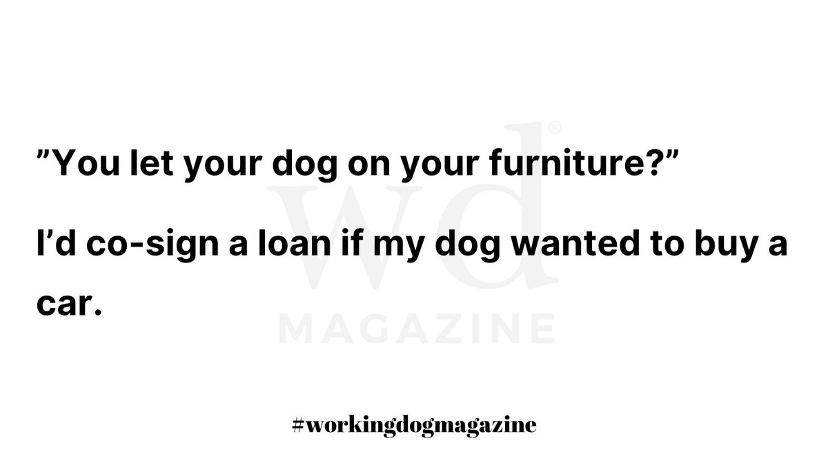 Can we get an amen?!? 🙏🏼 #stlouis #workingdogmagazine #magazine #dog #lifestyle workingdogmagazine.com