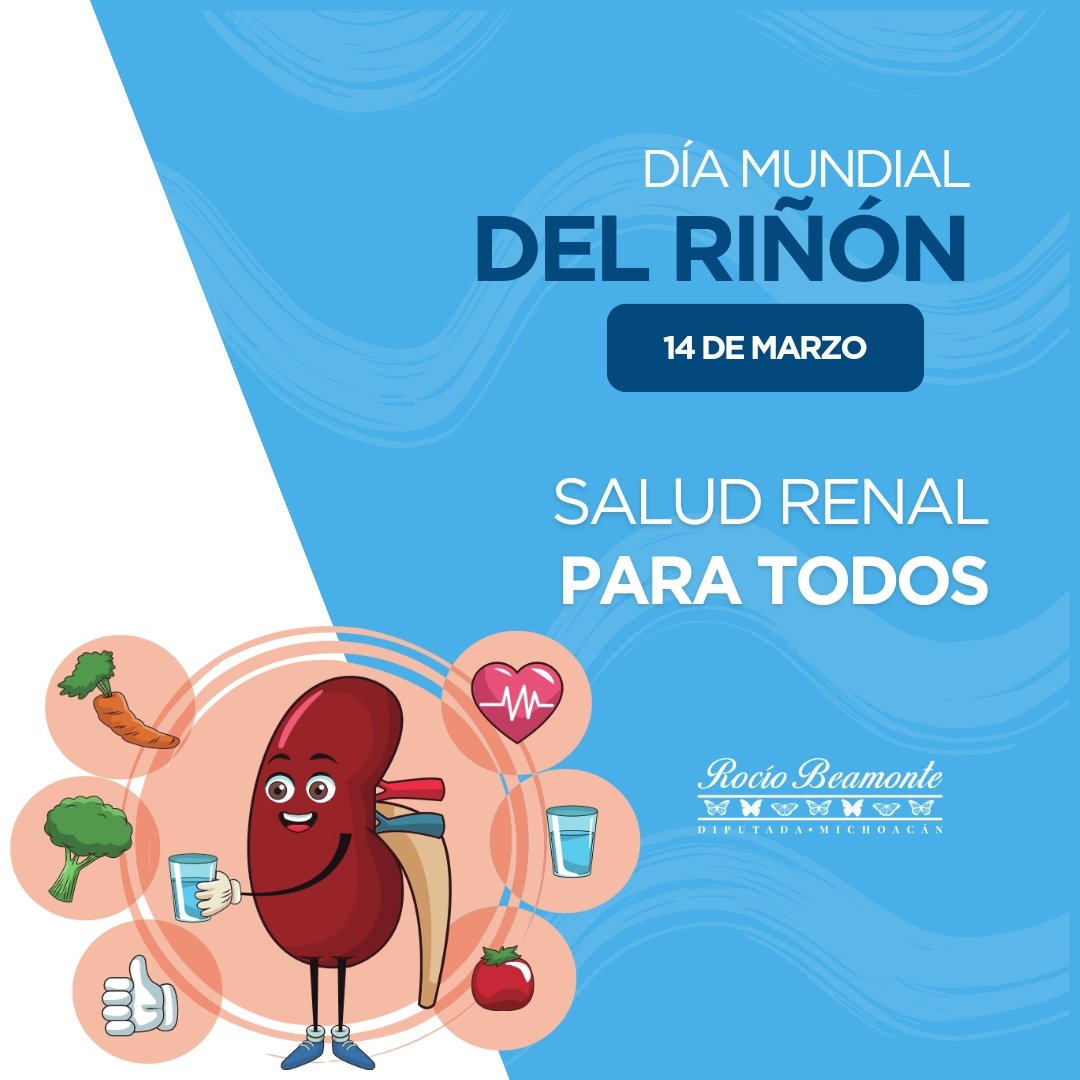 Rocio_Beamonte's tweet photo. Recordemos la importancia de cuidar este órgano vital para nuestra salud. Una dieta balanceada, hidratación adecuada y el ejercicio regular son clave para prevenir enfermedades renales. https://t.co/Jr3D2mPQl4