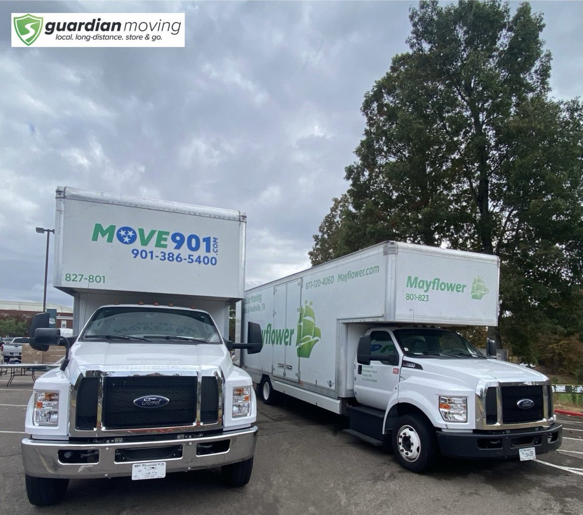 I spy one of our new trucks 👀

#move901 #movingcompany #localmovers #movingday #best #top #longdistancemovers #newtruck #upgrade #worldwidemovers #statetostate #store #movingservices