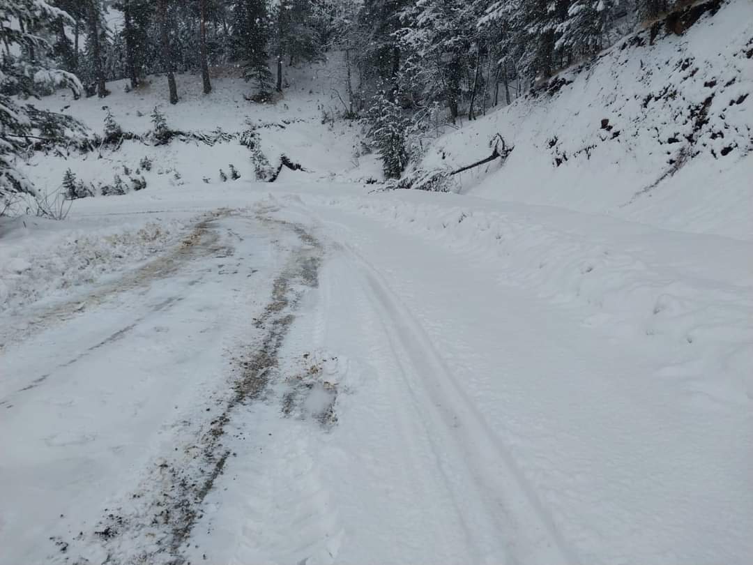 🔴 İl Özel İdaresi ekiplerimizce Akdağmadeni Yahyasaray köy yolunda kar küreme ve tuzlama çalışmaları devam ediyor.