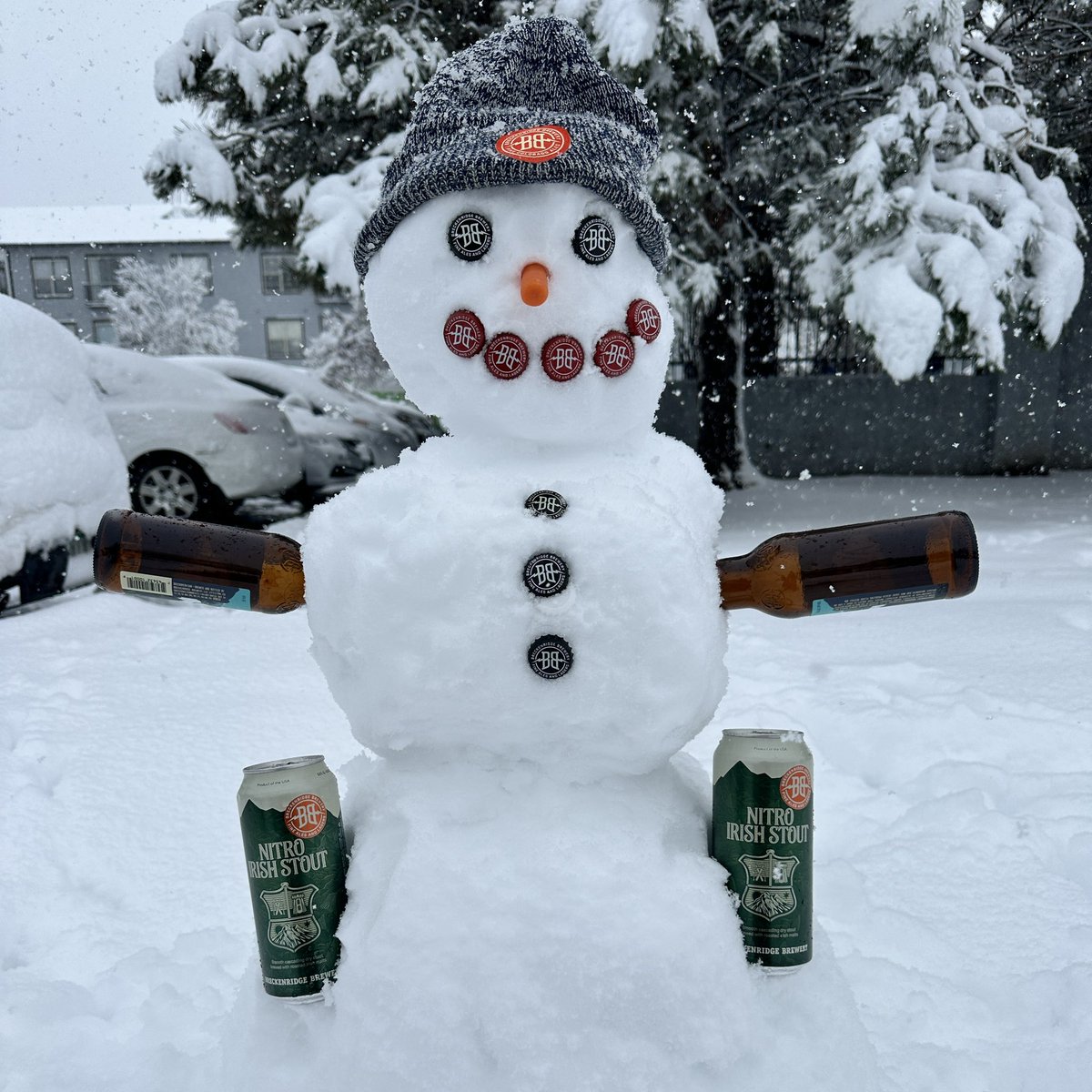 Snowy Stout Steve enjoying his snowy day