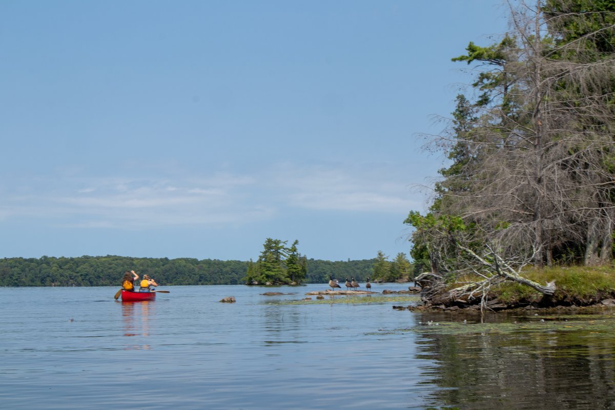 From the Rideau River to the Cataraqui River, this waterway weaves through picturesque landscapes, linking communities and ecosystems. Let’s protect and cherish our rivers today and every day! 🌊❤️ #InternationalDayofActionforRivers