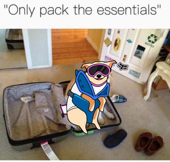 Forget about anything else. $SHRED is what you need now!