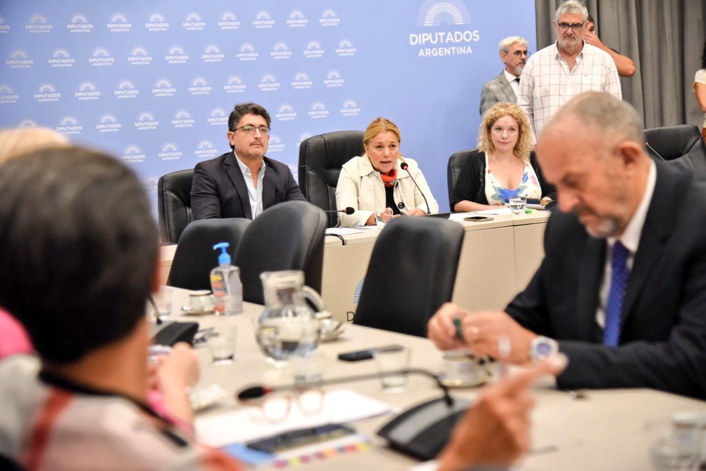 Es un gran desafío asumir la Vicepresidencia Primera de la Comisión de Previsión y Seguridad social de <a href="/DiputadosAR/">Diputados Argentina</a> ,  cargo con el que me honra mi bloque de <a href="/Diputados_UxP/">Diputados UP</a> y colegas de esta Comisión (sigue) 👉