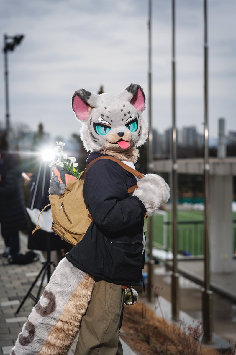 Ront_fur's tweet photo. #FursuitFriday #fursuit

가방에 좋아하는 것을 잔뜩 담아서!! 🏕️🏕️

Put all favorite things in bag!! 🏕️🏕️ https://t.co/P3UsVr0k3W