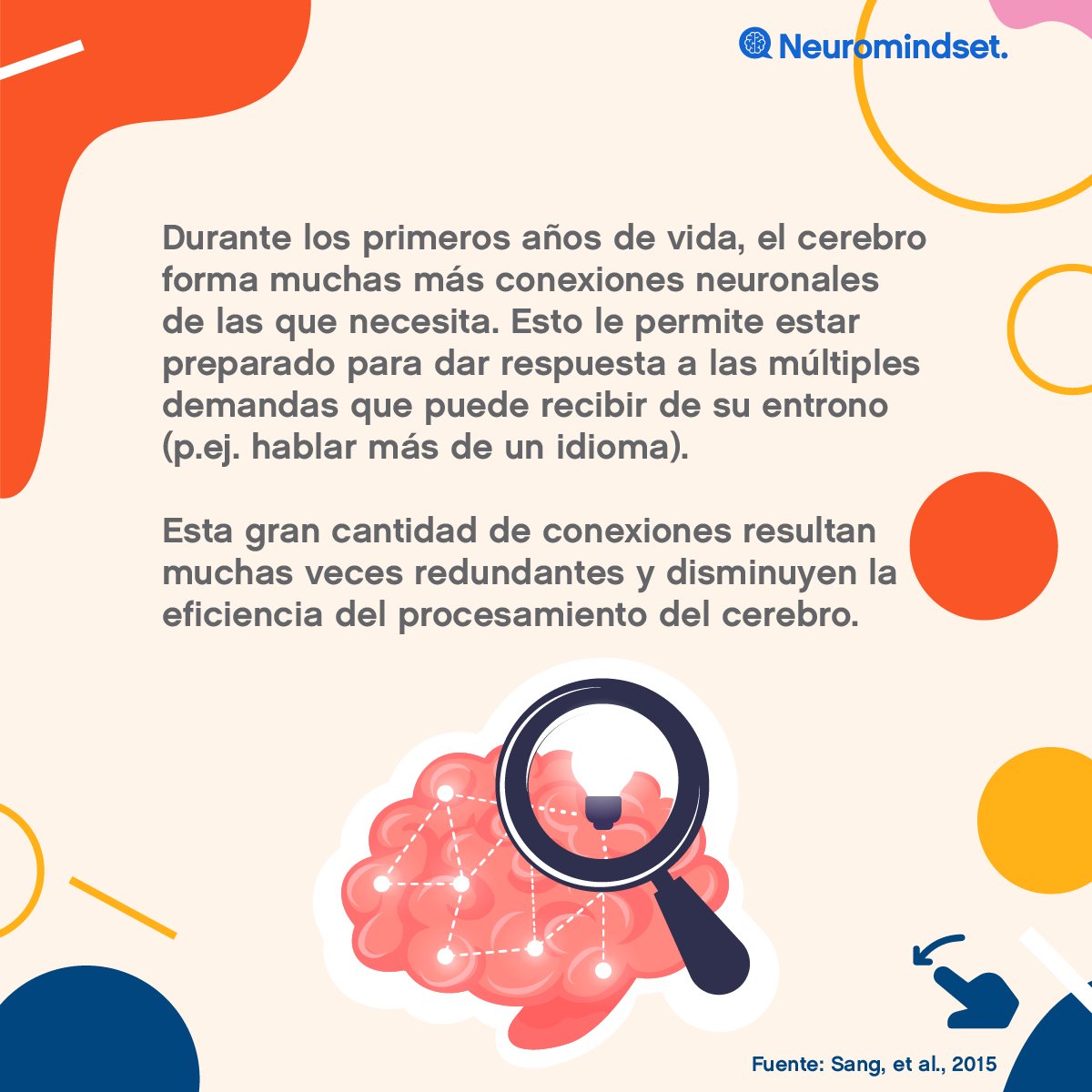 Neuromindset tweet media