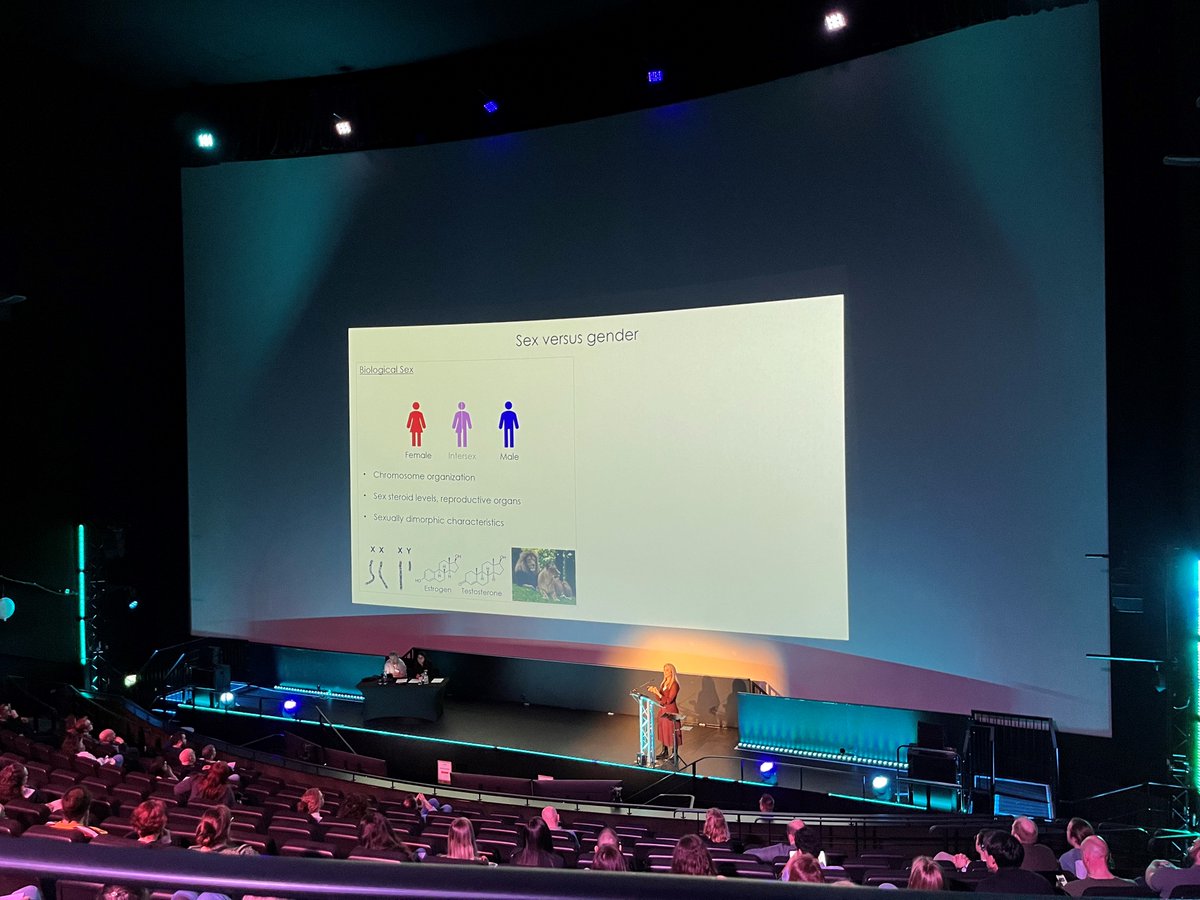 BSI_TumourImm's tweet photo. Amazing first day at #TumourMicroenvironment24!!

Thanks everyone who has contributed throughout the day, next up, the evening!! 🥳

@bsicongress @britsocimm https://t.co/wy3dQqO57z