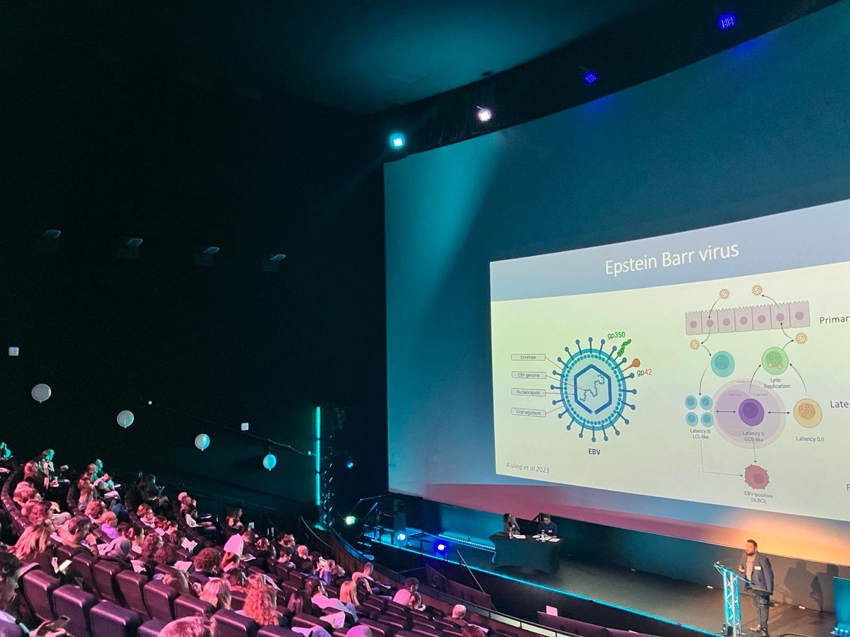 BSI_TumourImm's tweet photo. Amazing first day at #TumourMicroenvironment24!!

Thanks everyone who has contributed throughout the day, next up, the evening!! 🥳

@bsicongress @britsocimm https://t.co/wy3dQqO57z