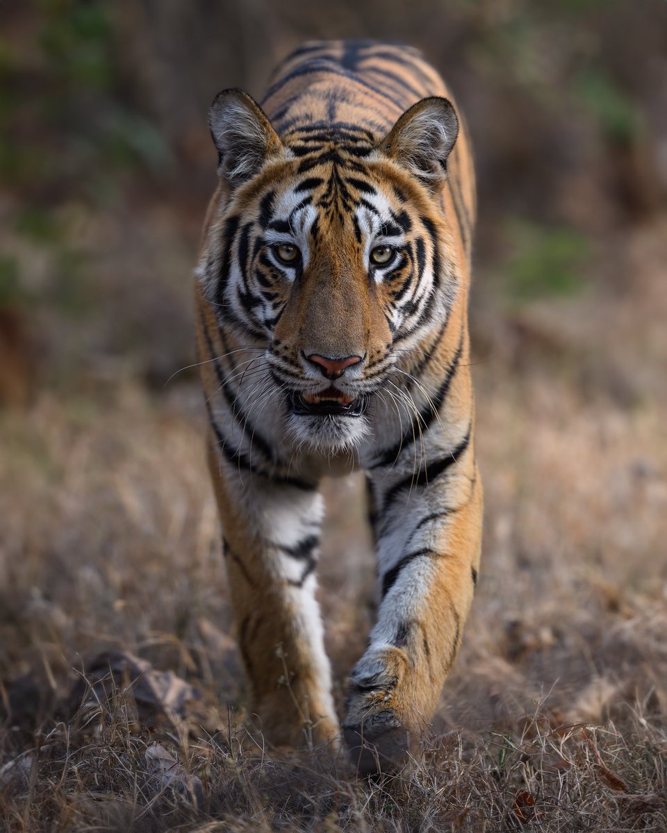 Ratish2709's tweet photo. Like father like son!
@mytadoba https://t.co/cgf2Brnuly