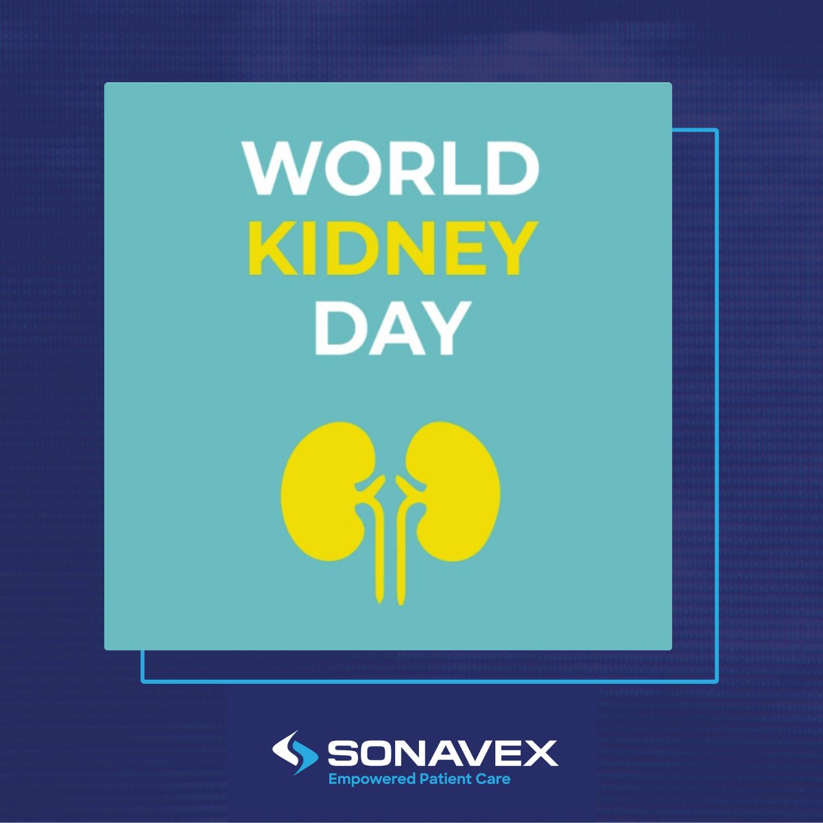 Sonavex's tweet photo. Celebrate #WorldKidneyDay with us! Today, we join in the efforts to raise awareness on the importance of your kidneys and managing kidney health. Check out this link to learn more: https://t.co/4hOJg8irbs https://t.co/7QfOqhXVTZ