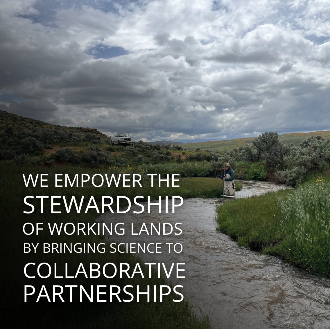 workinglandsorg's tweet photo. Our very first annual report is live! 
https://t.co/NUzdTPUFcG https://t.co/KgmwS7aFEt