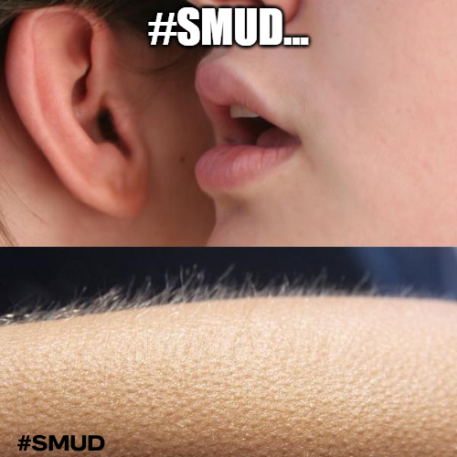 smudge_fan's tweet photo. when I heard the price #Smud $SMUD 🐱🐱🐱
#EVERMOON  $LADYS  #QNT $PLANET  $REDDIT  #ToTheMoon​ #Memecoinseason2024 #Memecoin  #Memecoins #MemeFi #MemeContest #AltcoinSeason  #100x #1000x 
$smduge $OCEAN $NEON $TRUMP $WIF $WLD  $MEME #Starknet https://t.co/wBrFNHqY84