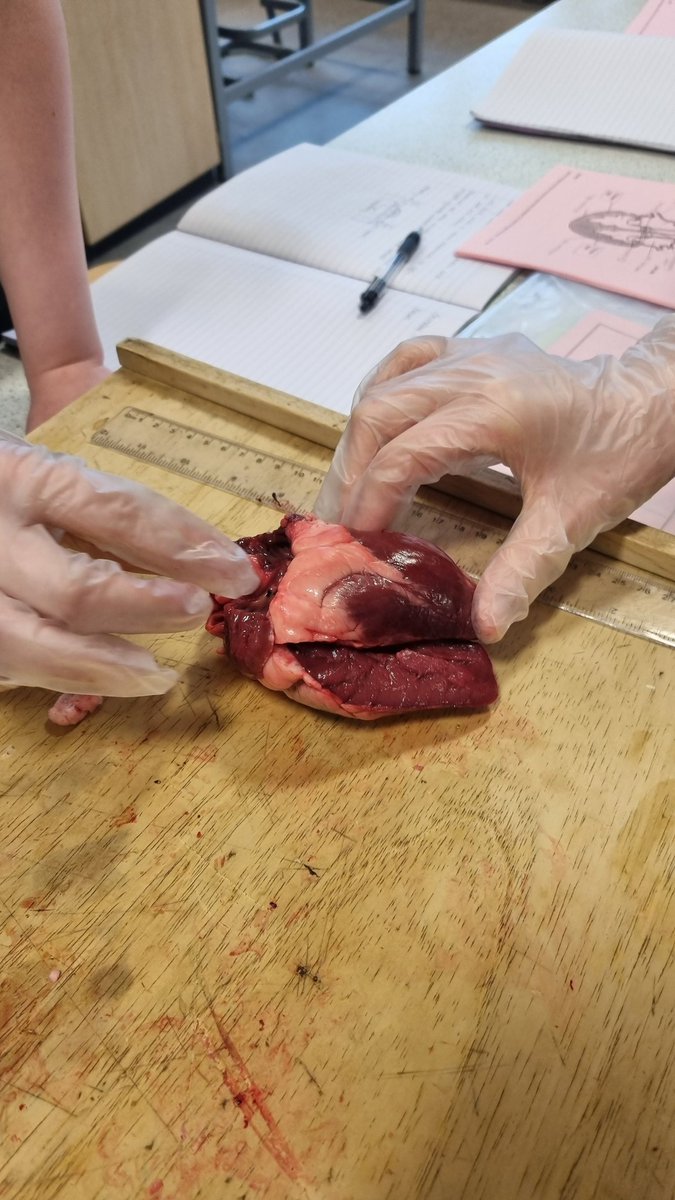 MrCharters tweet media