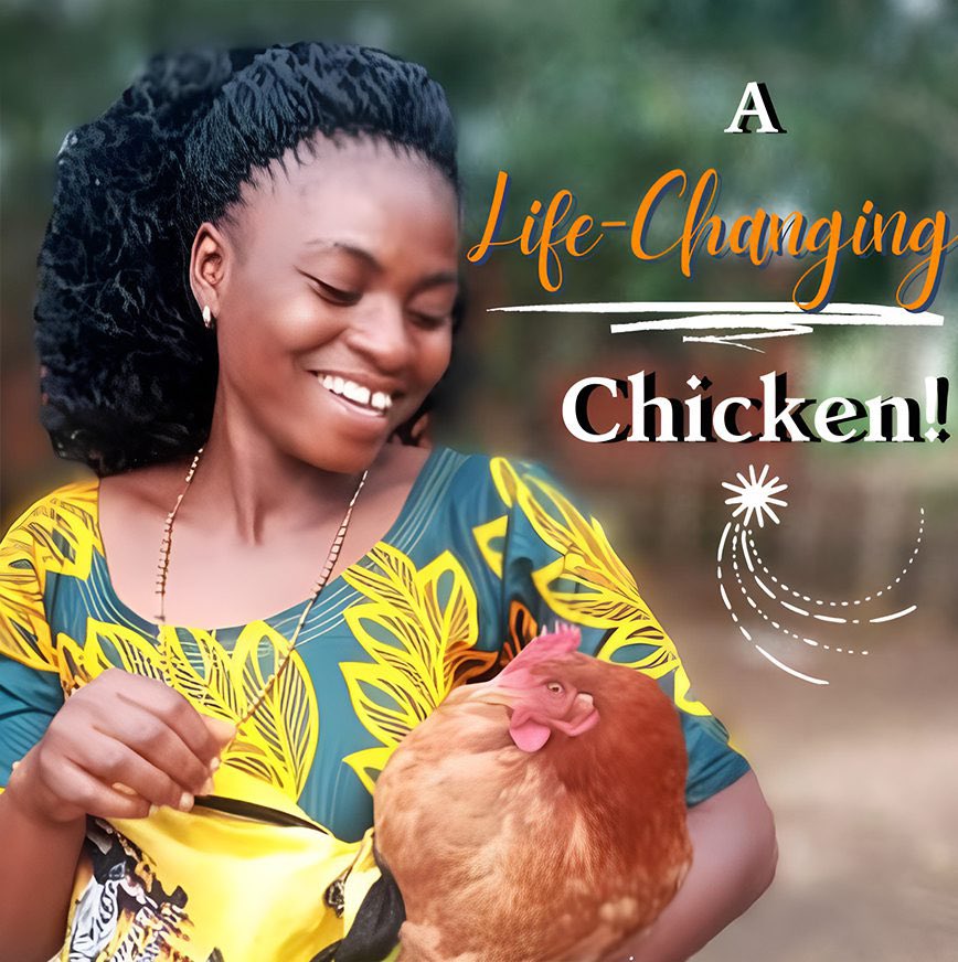 Looking for a unique gift that makes a real difference? With this special card, you're not just giving a chicken - you're providing families in rural Tanzania with a sustainable source of nutrition. Get your "Chicken Good" Gift Card here tanzdevtrust.org/product/chicke…
#TDT #donate