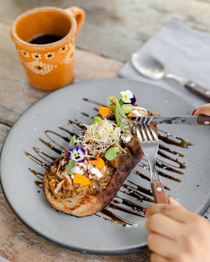 Puerto Morelos tweet media