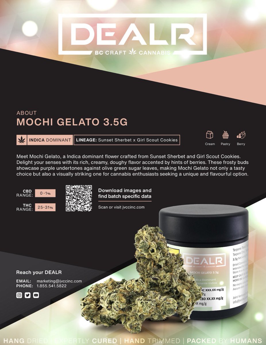 Meet Mochi Gelato 👋 
An Indica Dominant flower crafted from Sunset Sherbet and Girl Scout Cookies. Delight your senses with its rich, creamy, doughy flavor accented by hints of berries. These frosty buds showcase purple undertones against olive green sugar leaves✨🔜BC