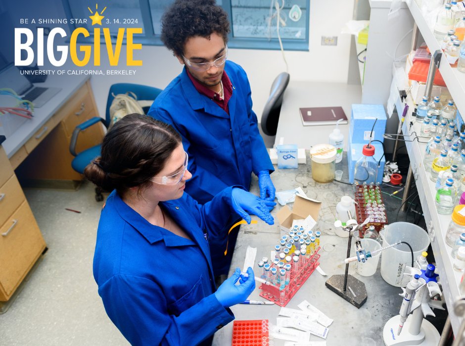 🌟Please consider supporting our graduate students today during #CalBigGive! Make a gift anytime now till 9 pm! givingday.berkeley.edu/giving-day/767… #BerkeleyRausser