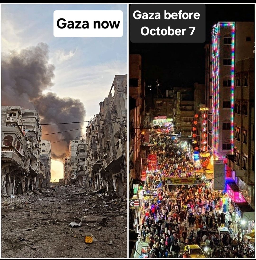 Dr. Eli David tweet media