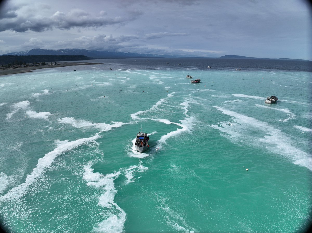 PSF's tweet photo. 1. The herring spawn is in full swing across the coast of British Columbia. Check out these amazing photos from Qualicum Beach on Vancouver Island from yesterday! https://t.co/qT00SBdZ7P
