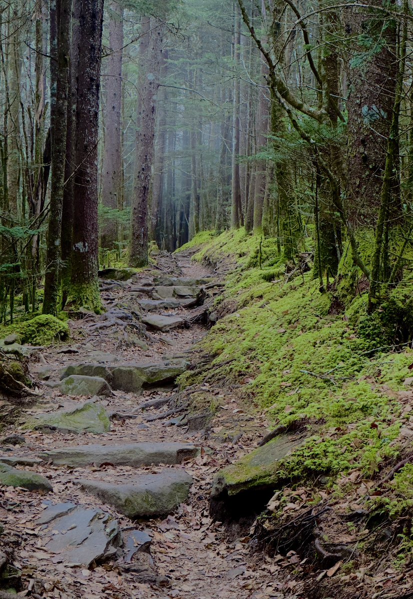 Mira🌺 tweet media