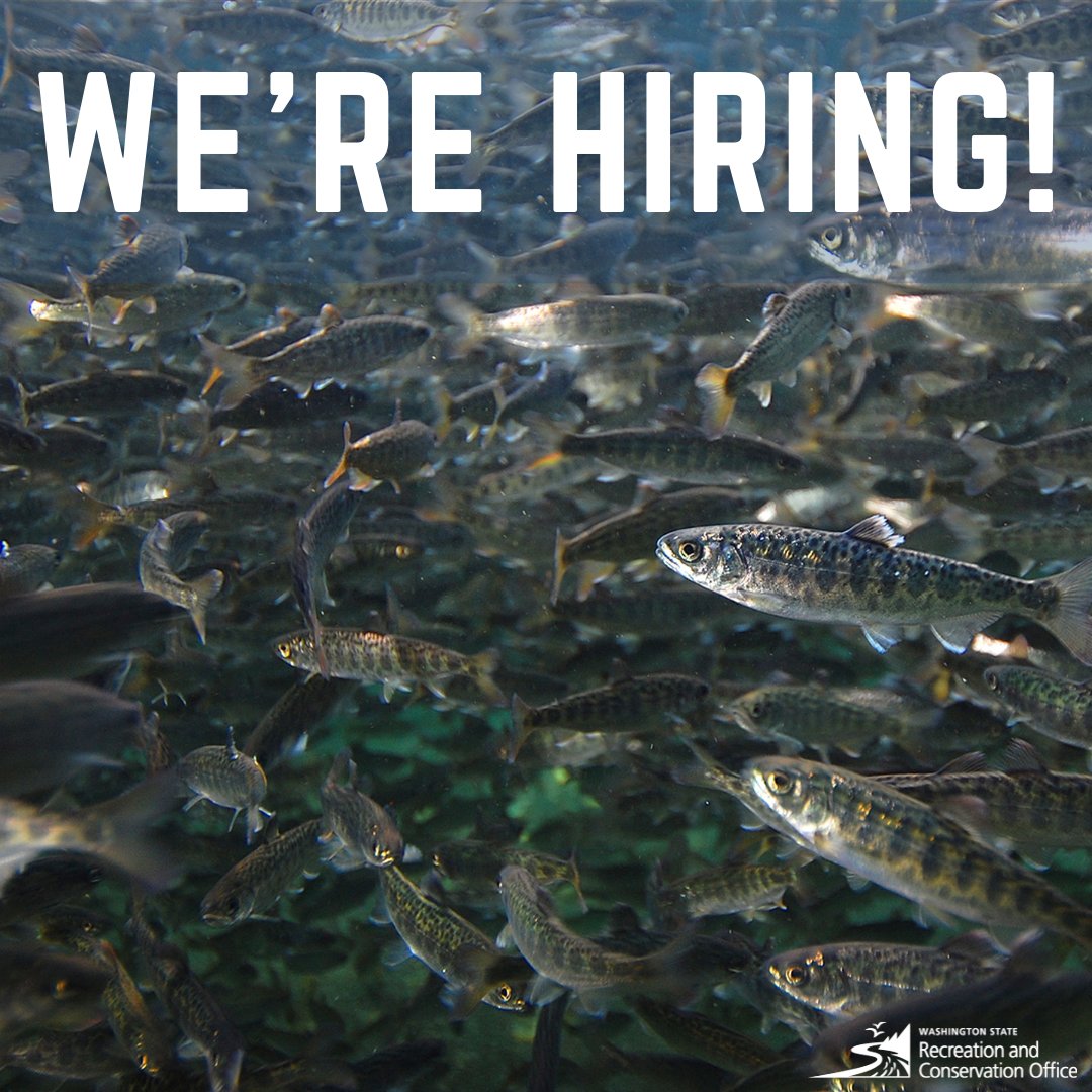 Want to work with a small and friendly team dedicated to protecting our endangered salmon? Then apply to be an outdoor grants manager for our salmon section!

Learn more:  rb.gy/hery2l

📷Paul Vecsei
#Hiring #Jobs #NowHiring #careers #employment