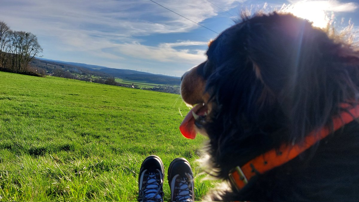 Jour 73
Retour des randonnées 🙂
La liberté de penser 
<a href="/Agridemain/">#agridemain</a> <a href="/Fragritwittos/">FranceAgritwittos♥️</a> @Agrisontducoeur <a href="/AudeVisine/">Marie-Aude VISINE</a>
#Fratgw #Jnov