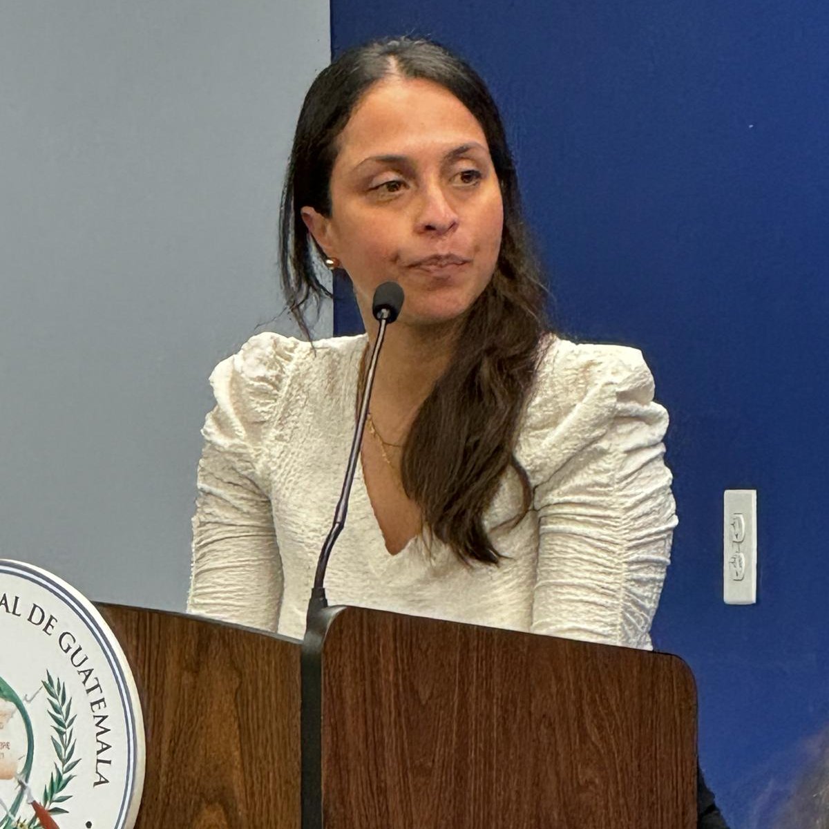 apaniaguaavila's tweet photo. Gracias a @KarinHerreraVP y equipo por escuchar; al Consulado de Guatemala en Nueva York por abrir el espacio; y a @MigrantesPorGT por el apoyo. 
#Nohaysaludsinsaludmental https://t.co/6XgtL7nNQ5