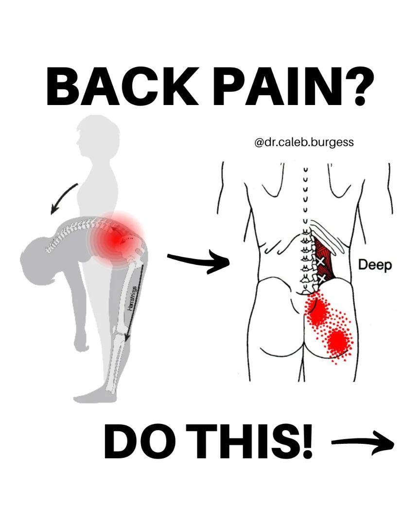The_Life_Pad's tweet photo. Back Pain? Do this 👇✅💯 https://t.co/x54kKGyETV