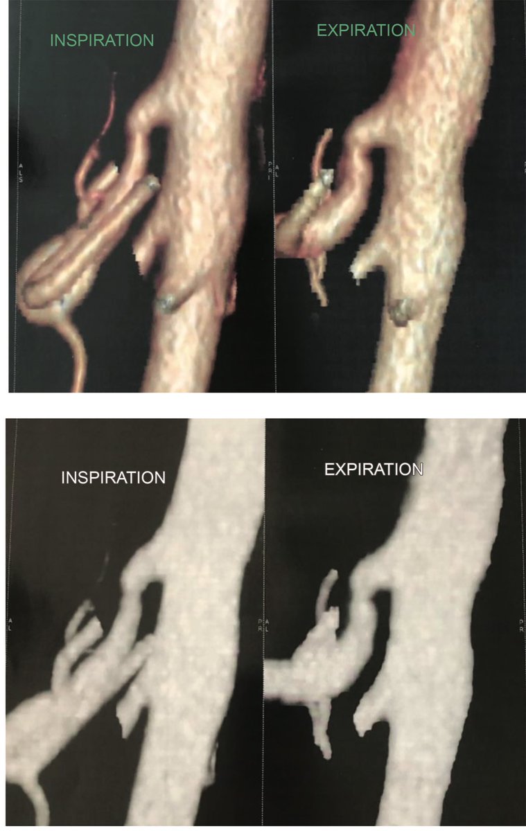 Dr. Mateo Avila tweet media