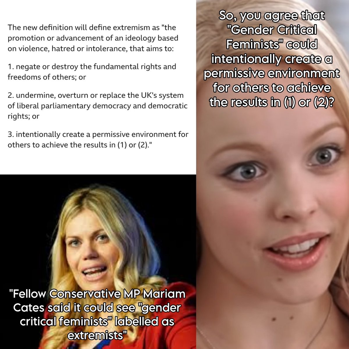 I mean... 💁🏻‍♂️

#miriamcates #miriamcatesmp #tories #extremism #definition #TERF