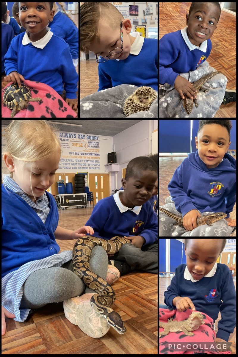 North Ormesby Primary Academy (@n_o_p_a) on Twitter photo What an amazing animal experience Nursery had this afternoon to celebrate British Science Week ππ¦π·οΈ<a href="/ScienceWeekUK/">British Science Week</a> <a href="/PrimaryWorkshop/">Primary Workshops</a> <a href="/CNicholson_Edu/">Craig Nicholson</a> What an amazing animal experience Nursery had this afternoon to celebrate British Science Week ππ¦π·οΈ<a href="/ScienceWeekUK/">British Science Week</a> <a href="/PrimaryWorkshop/">Primary Workshops</a> <a href="/CNicholson_Edu/">Craig Nicholson</a>