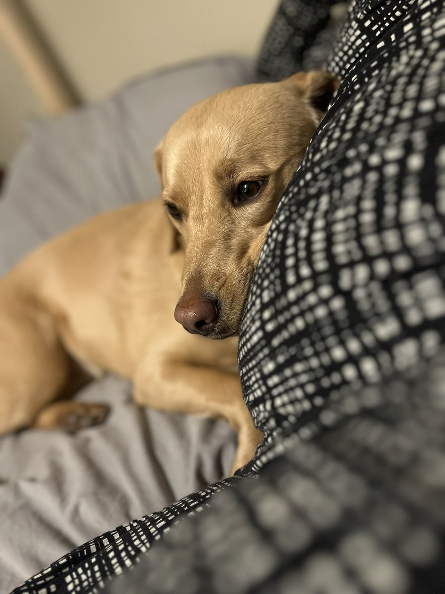 Lucie Martin tweet media