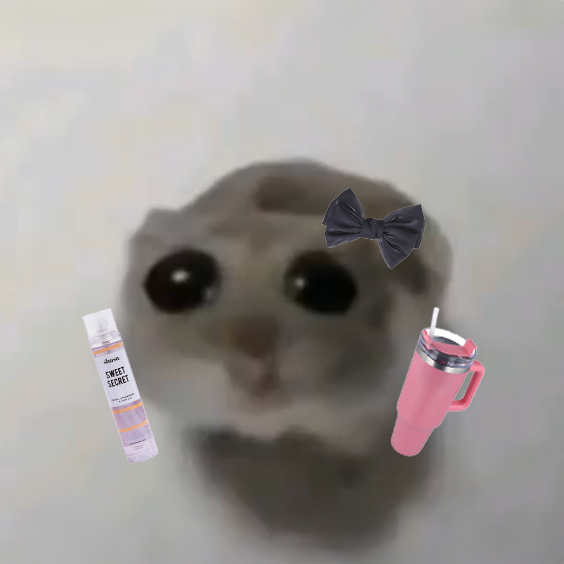 ¿Vas a querer algo de Shasa?
Yo: