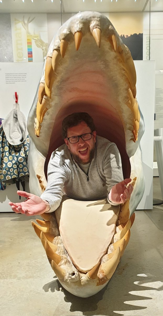 Hello Dorset Museum &amp; Art Gallery,  hello <a href="/PliosaurKevan/">Pliosaurus kevani</a> :) @DorsetMuseum