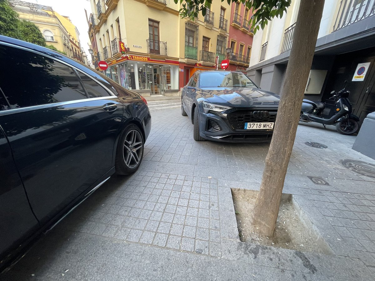 Carlos Parra Camargo tweet media