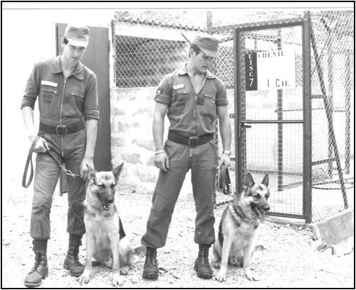 riisc_7's tweet image. 1978 marque un tournant dans l’histoire des #FORMISC
Sous le commandement du colonel Battesti, 3️⃣ spécialités qui sont toujours au cœur de nos missions sont créées :

-Le détachement d’intervention héliporté
-La cellule cynotechnique
-La cellule mobile d’intervention radiologique