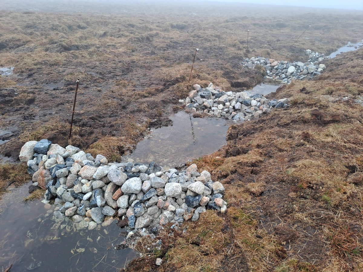 A better than expected weather day on Monday, so 32-33 tonnes of granite positioned up on Gnat's Head.

A "dam" fine job we did too, it seems.