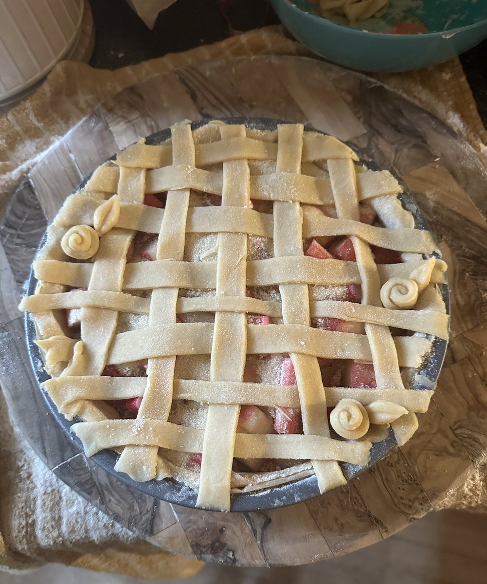 PlantAnxious's tweet photo. Ready for the oven 🥧 Simple rhubarb with a hint of cinnamon https://t.co/VSILCygDi4