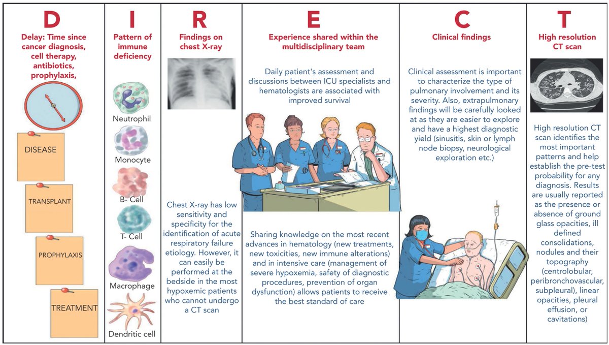 How I manage acute respiratory failure in patients with hematological malignancies ashpublications.org/blood/article-…