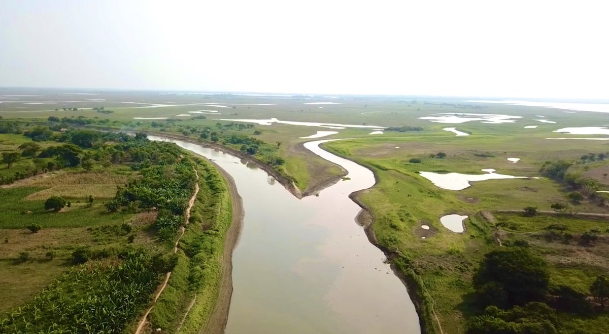 MinAmbienteCo's tweet photo. En el Día de la Acción por los Ríos queremos exaltar la importancia de cuidar estos cuerpos de agua 💧:

1️⃣Tenemos una riqueza hídrica seis veces superior al promedio mundial.
2️⃣Tres de los ríos más importantes de América del Sur están en nuestro país: Amazonas, Orinoco y Magdalena.
3️⃣Somos el hogar de 42 ríos y más de 1800 lagunas y lagos.

¿Cuál es tu acción por los ríos? Cuéntanos en los comentarios y envíanos una foto de tu río favorito. Empezamos nosotros 👀👇