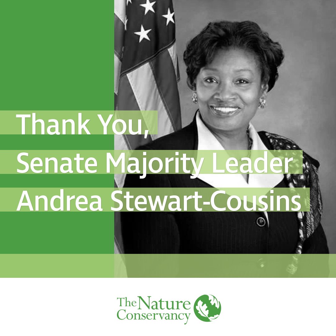 Thank you @AndreaSCousins for your leadership in restoring funding for #NYEnviroFund & clean water projects in @NYSenate's one-house budget proposal! Every New Yorker and every creature on earth depends on clean water and a healthy environment. #FixOurPipes @CleanWater_Jobs
