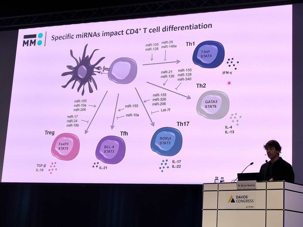BSilva_Santos's tweet photo. Presenting our work on microRNAs in the differentiation of CD4 T cells (yep, not gd T cells for a change ;) at the World Immune Regulation Meeting in Davos :) 
(Thanks for the photo, @SanchoLab :) https://t.co/sYgew6uKWX