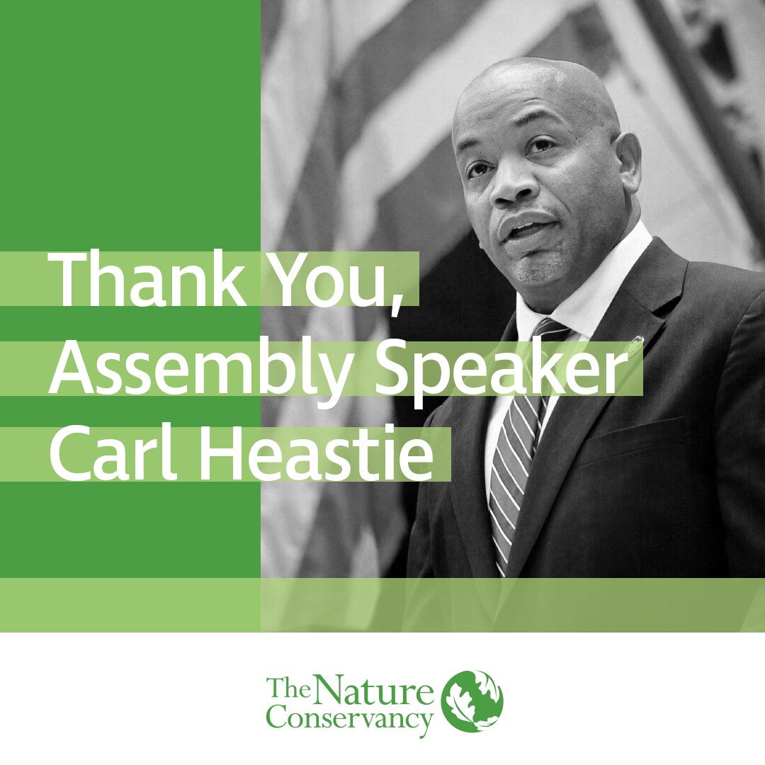 Thank you @CarlHeastie for your leadership in restoring funding for #NYEnviroFund & clean water projects in the @NYSA_Majority's one-house budget proposal! Every New Yorker & every creature on earth depends on clean water and a healthy environment. #FixOurPipes #NYbudget
