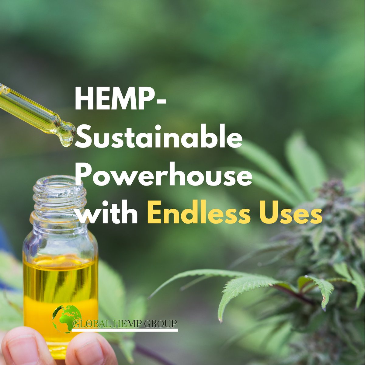 Global Hemp Group Inc. tweet media