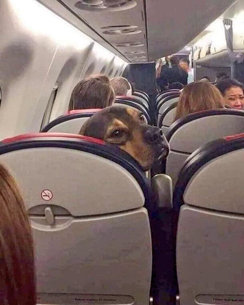 Señora, dígale a su hijo que deje de patear el asiento por favor.