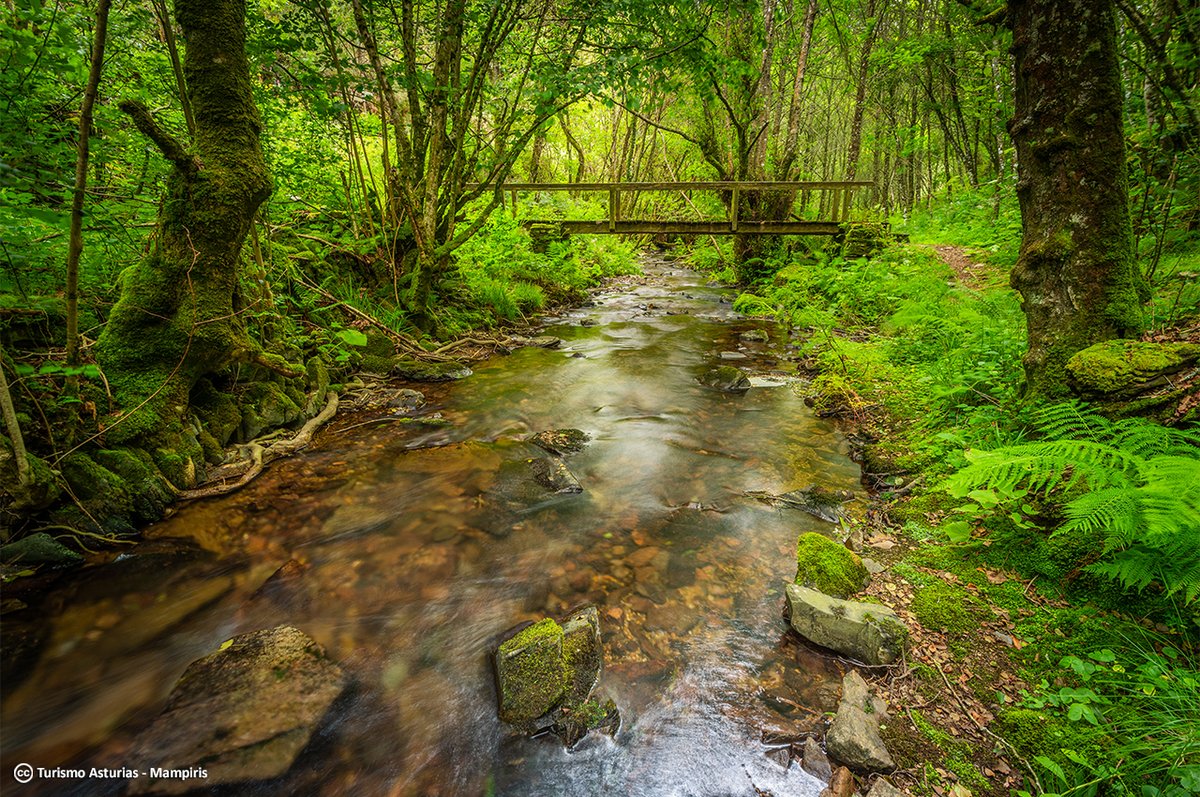 TurismoAsturias tweet media